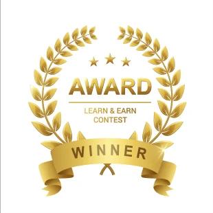 Gold award medal for the Learn and Earn Contest