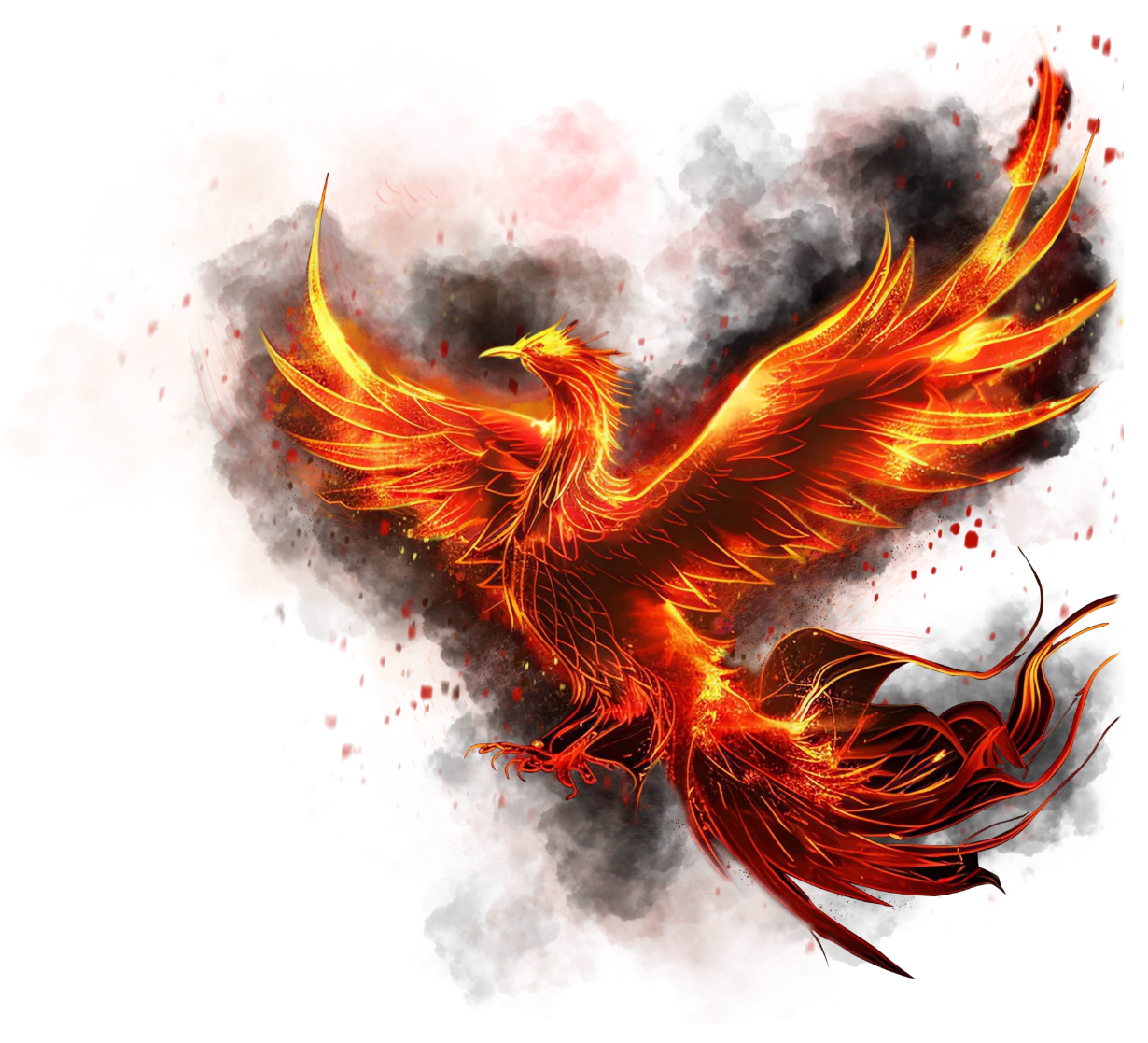 Rise above with the Phoenix Bonus Boost!